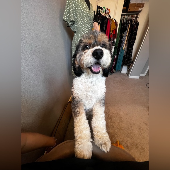 SURPRISE HAPPY MAIL - Picture 12 of 16